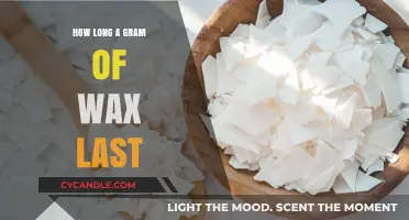 Maximizing Your Wax: Understanding Burn Times and Usage