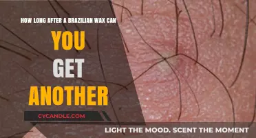 Brazilian Wax Aftercare: Timing Your Next Appointment for Smooth Results