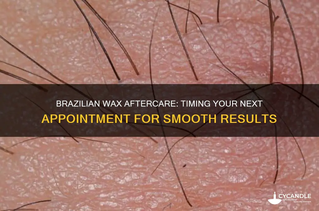 how long after a brazilian wax can you get another