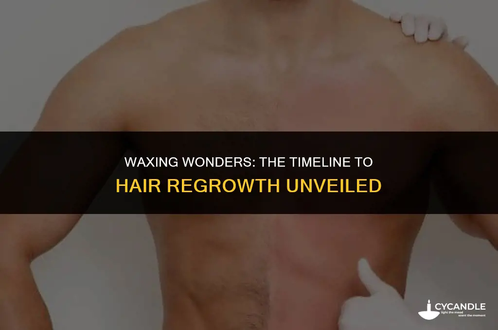 how long after a wax does hair grow back