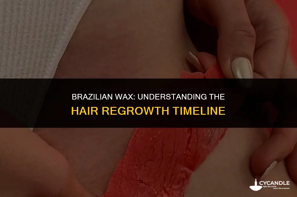 how long after brazilian wax does gair grow back