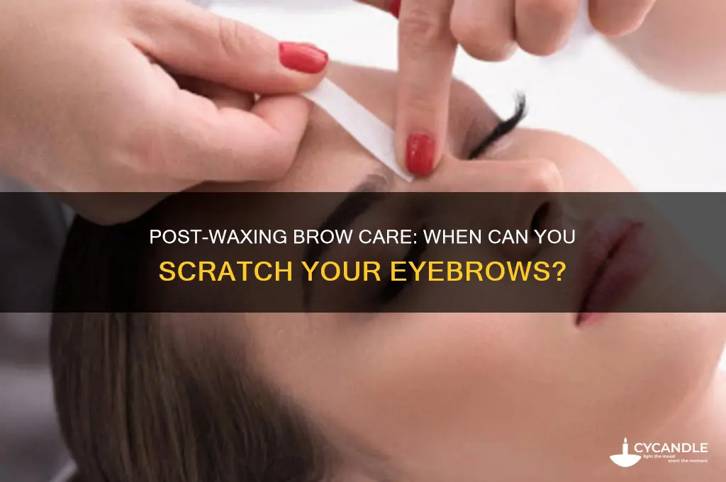 how long after can i scratch my eyebrows after waxing