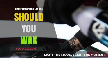 Detailing Dilemma: Clay Bar and Wax Timing Explained