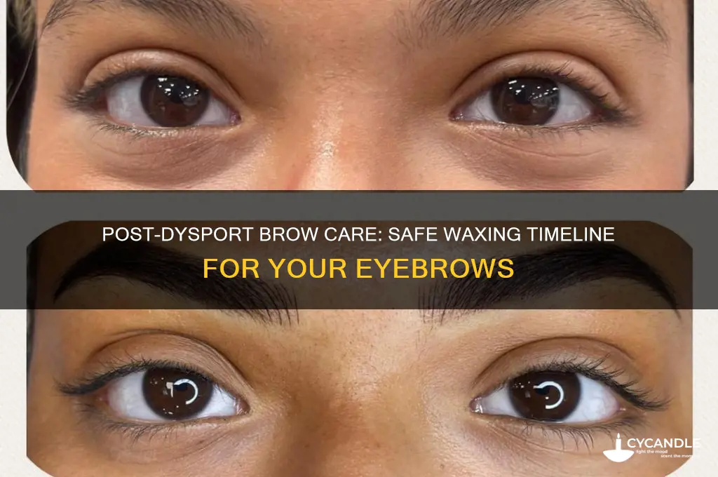 how long after dysport can i wax my eyebrows