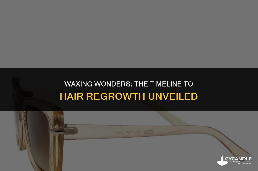how long after getting waxed does hair grow back