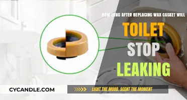 Toilet Leaks: How Soon Can You Expect Relief After Replacing the Wax Gasket?