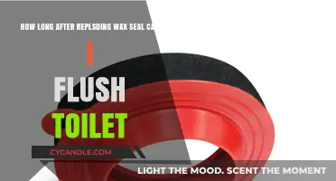 Replacing Wax Seal: When Can You Safely Flush Your Toilet Again?