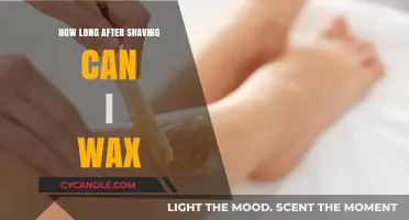Shaving to Waxing: Timing Your Hair Removal Transition Perfectly
