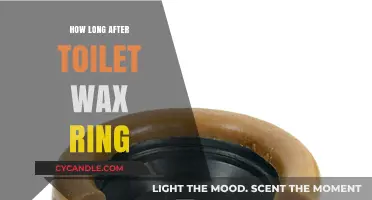 Mastering Toilet Wax Ring Replacement: A Comprehensive Guide
