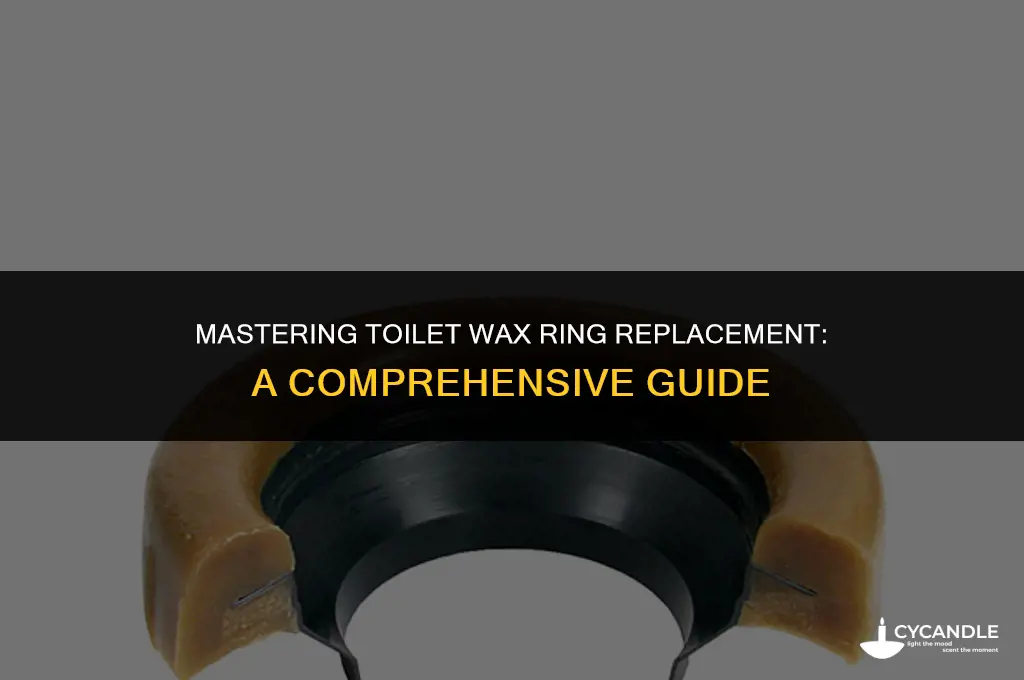 how long after toilet wax ring