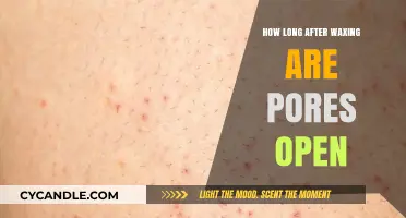 Understanding Post-Waxing Skin: How Long Do Pores Stay Open?