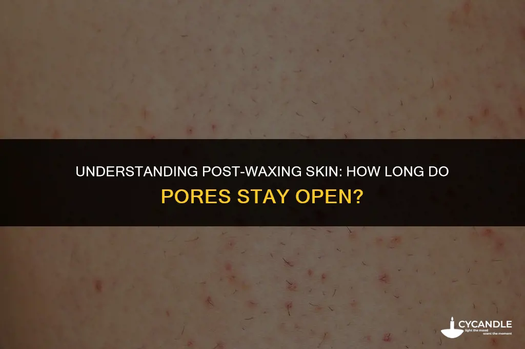 how long after waxing are pores open