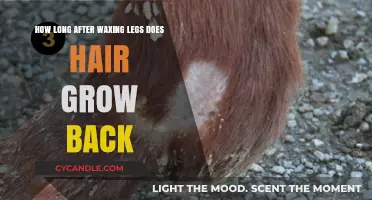 The Ultimate Guide to Post-Waxing Hair Regrowth on Legs