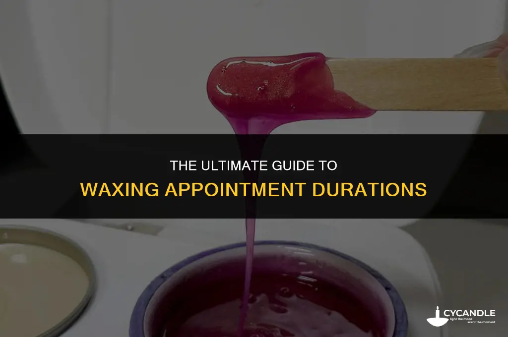 how long are waxing appointments