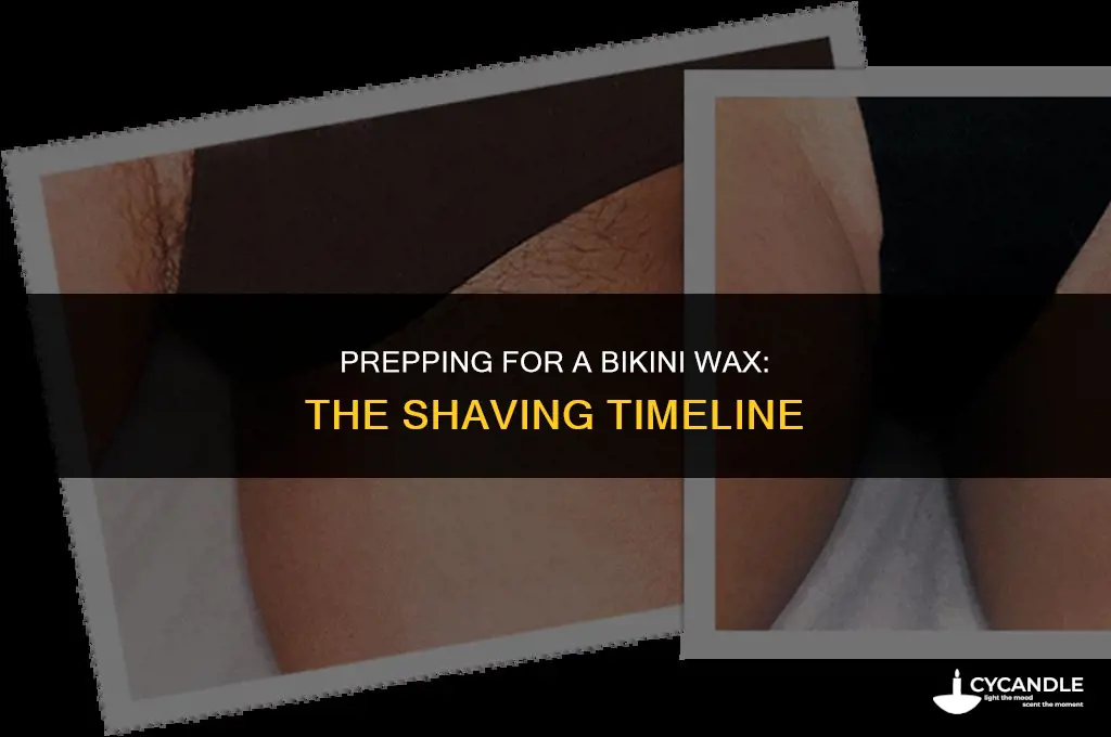 how long before a binkini wax should you stop shaving