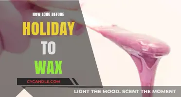Prepping for the Holidays: The Ideal Time to Wax