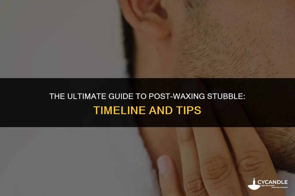 how long before stubble after waxing