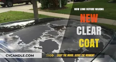 Reviving Your Ride: The Optimal Time for Waxing a New Clear Coat