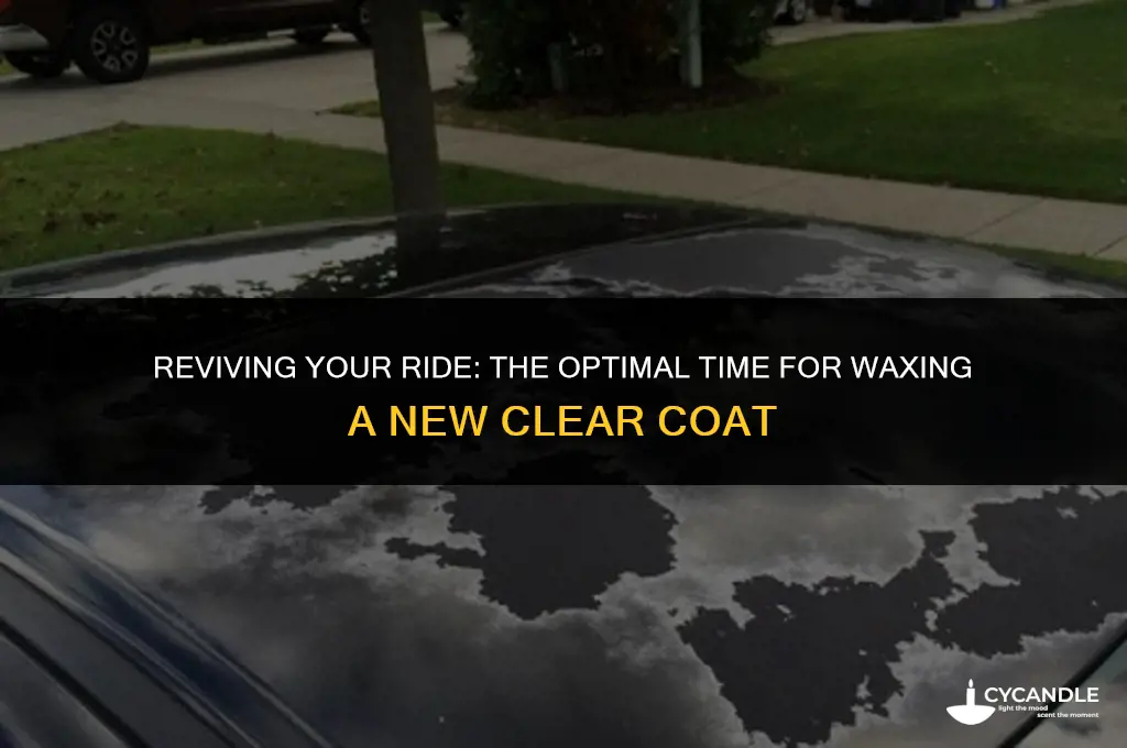 how long before waxing new clear coat