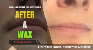 From Smooth to Stubbly: The Waxing Timeline Explained