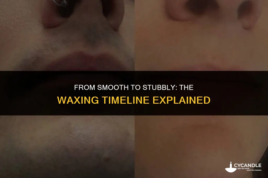 how long before you get stubble after a wax