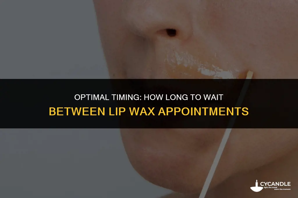 how long between appointments for a lip wax