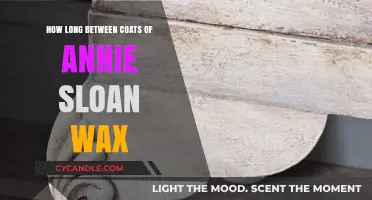 Mastering the Art of Annie Sloan Wax: Optimal Time Between Coats