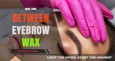 Perfectly Timed Brows: Your Guide to Eyebrow Waxing Intervals