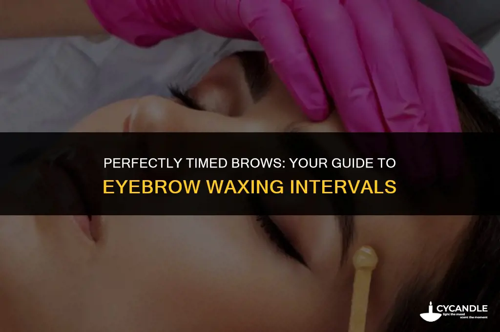 how long between eyebrow wax