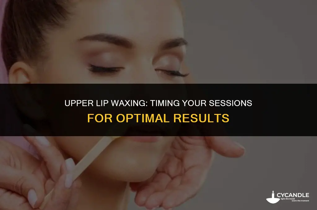 how long between waxing upper lip