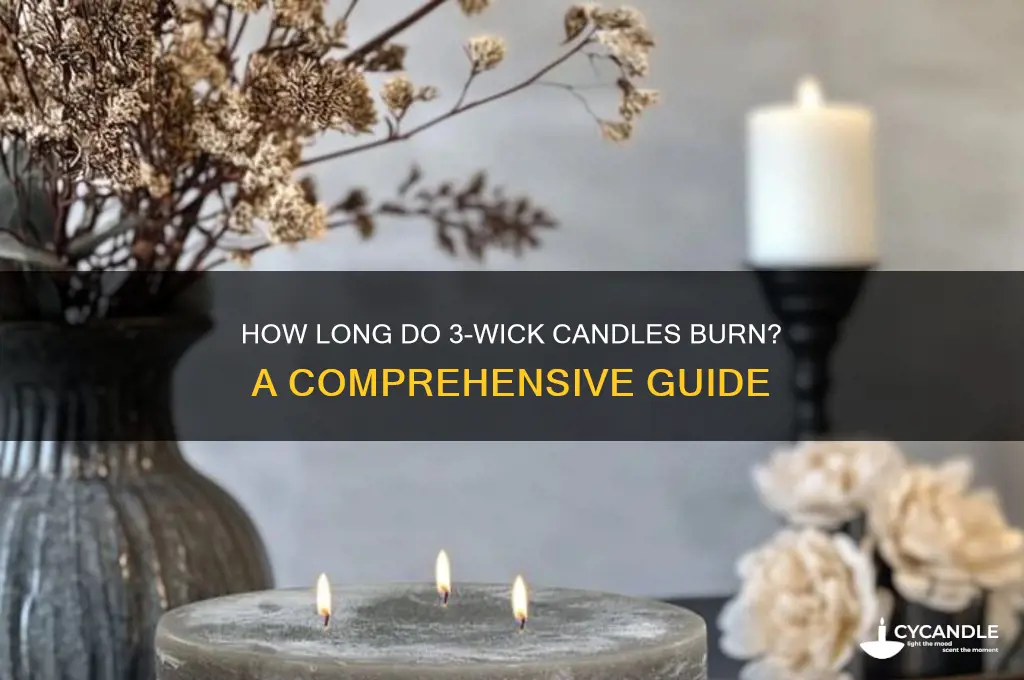 how long can 3 wick candles burn