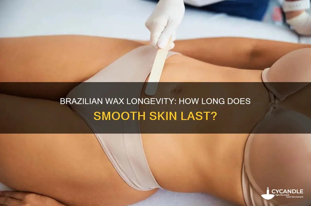 how long can a brazilian wax last