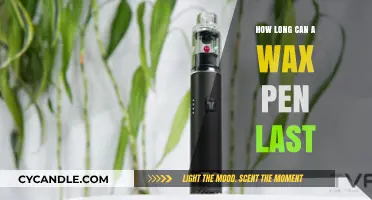 Maximizing Your Wax Pen Lifespan: Tips for Longevity and Performance