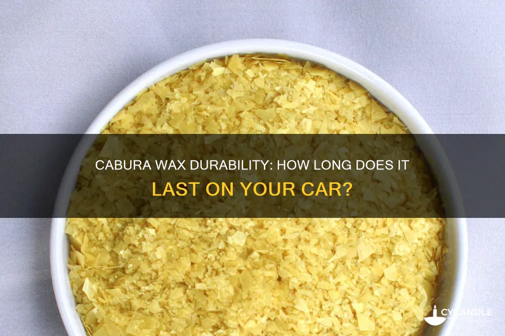 how long can cabura wax sit on your car