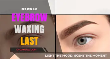 Eyebrow Waxing Longevity: How Long Can Results Last?