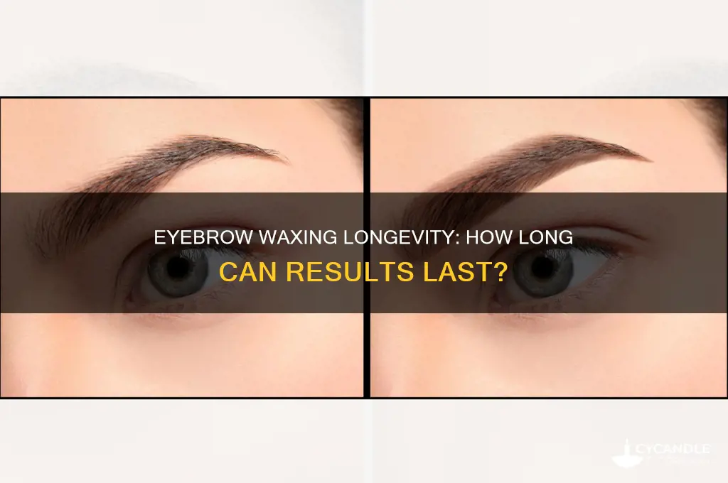 how long can eyebrow waxing last