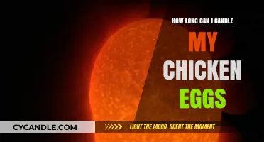 Candling Chicken Eggs: Optimal Timing for Monitoring Embryo Development