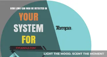 How Long Does Wax Stay Detectable in Your System?