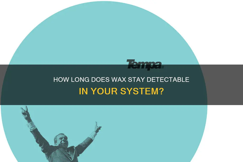 how long can wax be detected in your system for