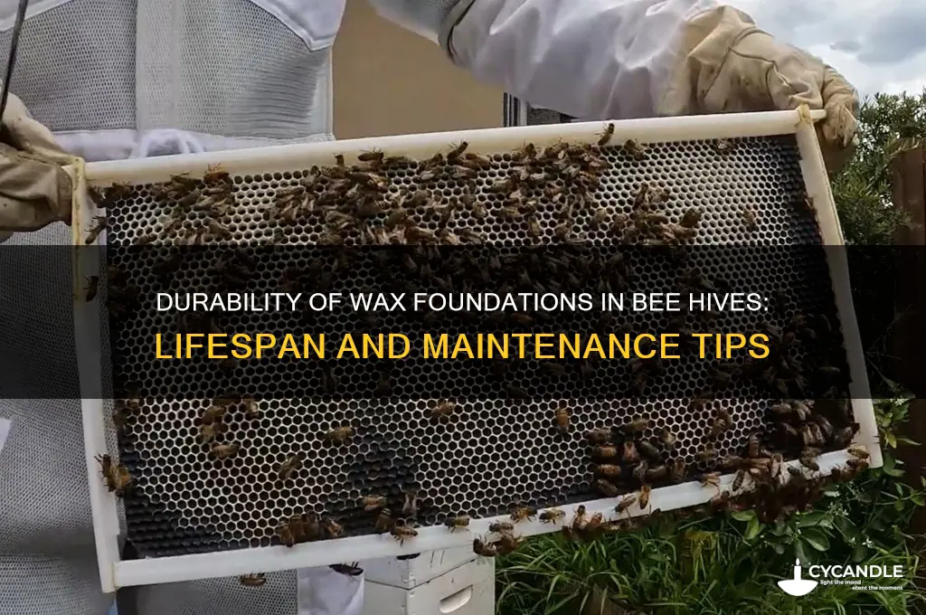 how long can wax fondations for bee hive last