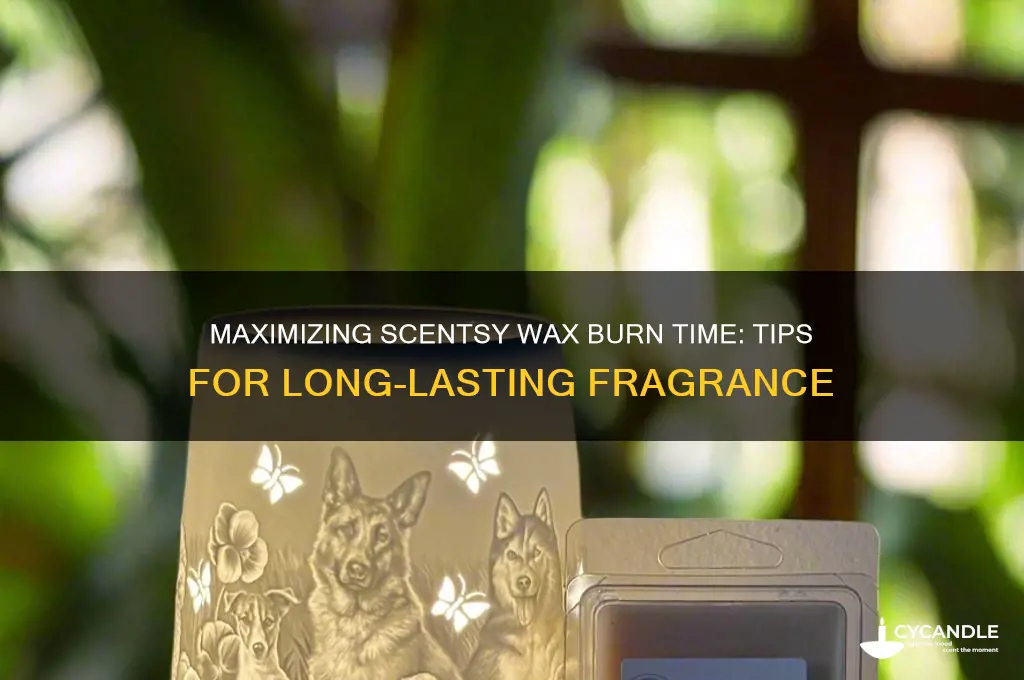 how long can you burn scentsy wax