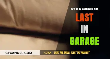 Durability of Carnauba Wax: A Comprehensive Guide for Garage Use