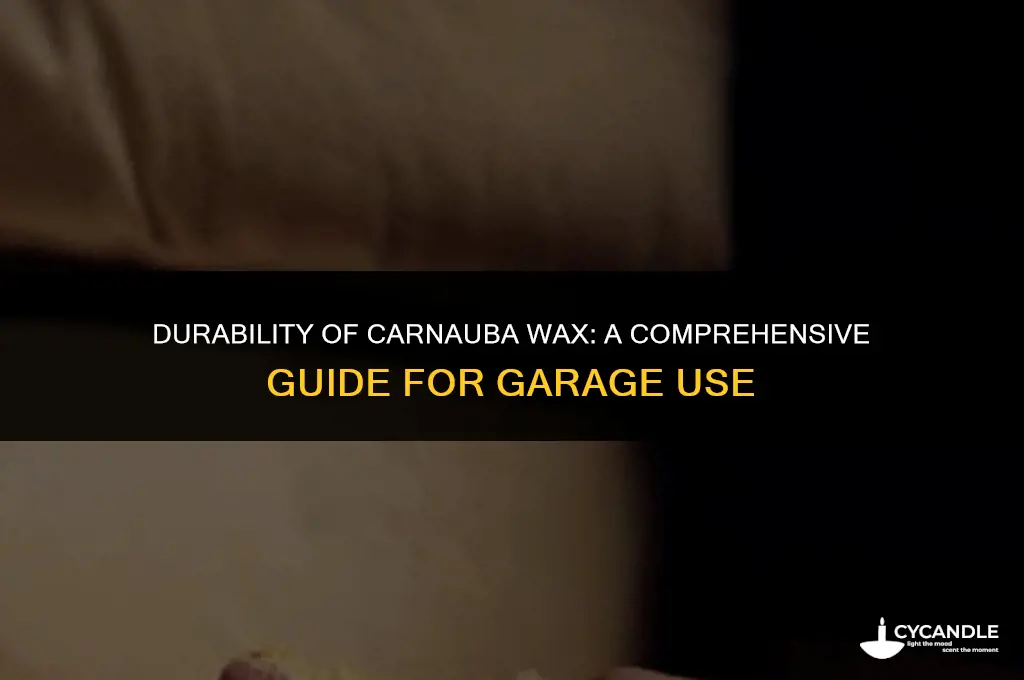 how long carnauba wax last in garage