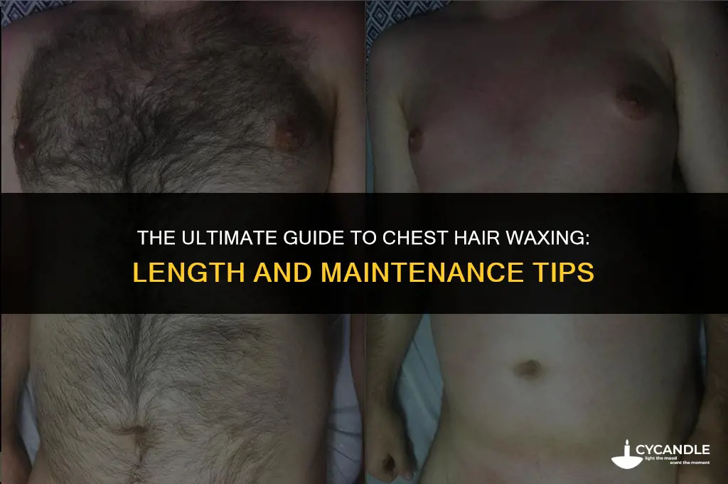 how long chest hair to wax