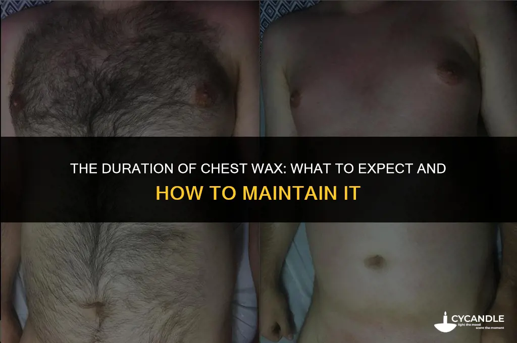how long chest wax last