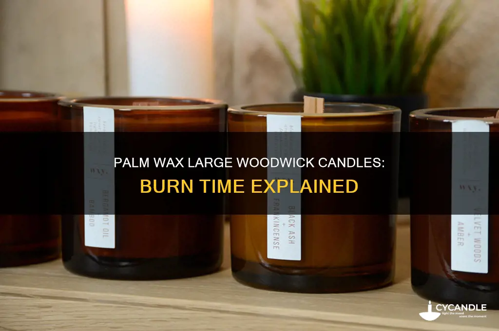 how long do a palm wax large woodwick candles burn