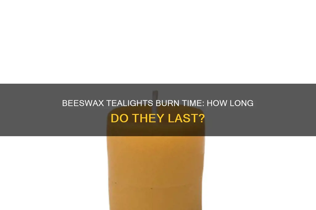 how long do beeswax tealights burn