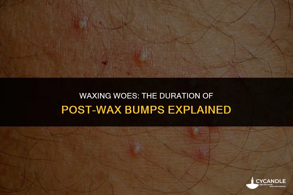 how long do bumps after waxing last