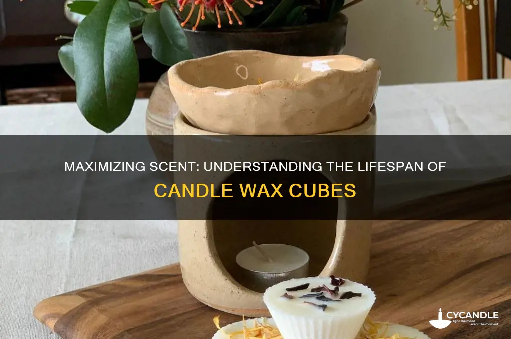 how long do candle wax cubes last