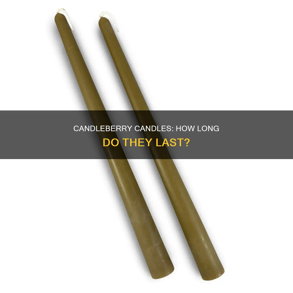 how long do candleberry candles last